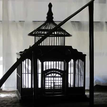 Casa Grande De Juncais - Serra Da Estrela *